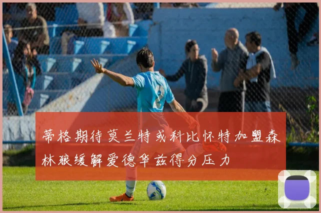 蒂格期待莫兰特或科比怀特加盟森林狼缓解爱德华兹得分压力