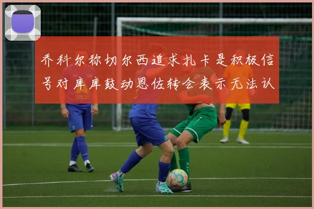 乔科尔称切尔西追求扎卡是积极信号对库库鼓动恩佐转会表示无法认同