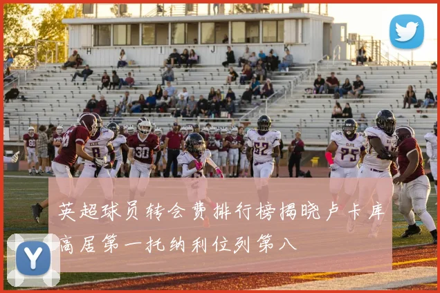 英超球员转会费排行榜揭晓卢卡库高居第一托纳利位列第八